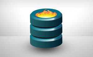 Exporting and Importing Data – Rainfrog Inc.